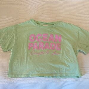 Zara Mint Green Crop Tee with Pink Print